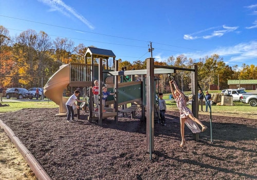 The Overlooked Benefits of Combining Play Structures and Pet Training Environments
